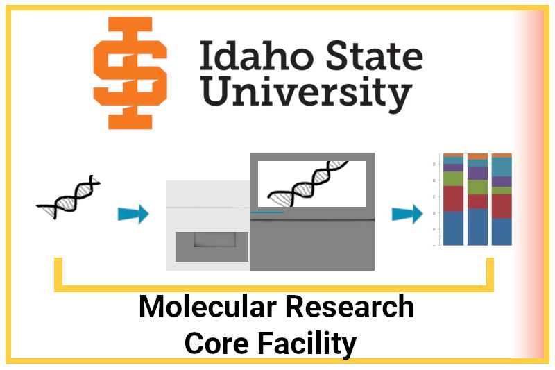 Abstract image for button to access the Molecular Research Core Facility webpage