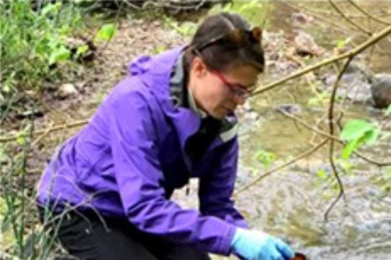 Center for Ecological Research and Education (CERE) image of field researcher