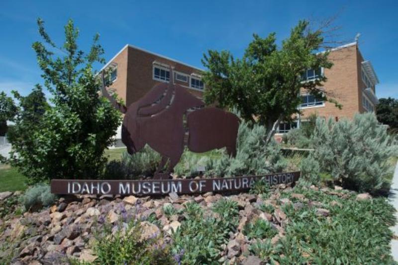 view of the Idaho Museum of Natural History building