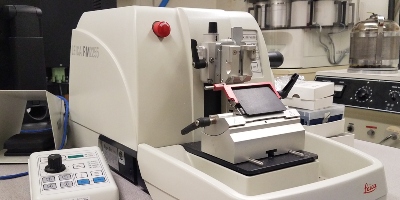 Microtome used for sectioning wax embedded tissues