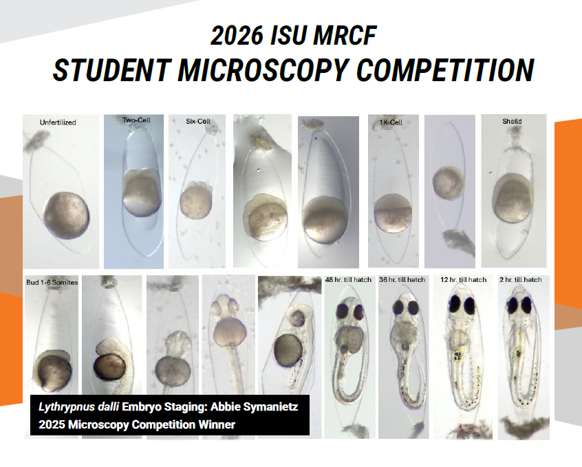 Button to access the MRCF Student Microscopy Competition Google Form