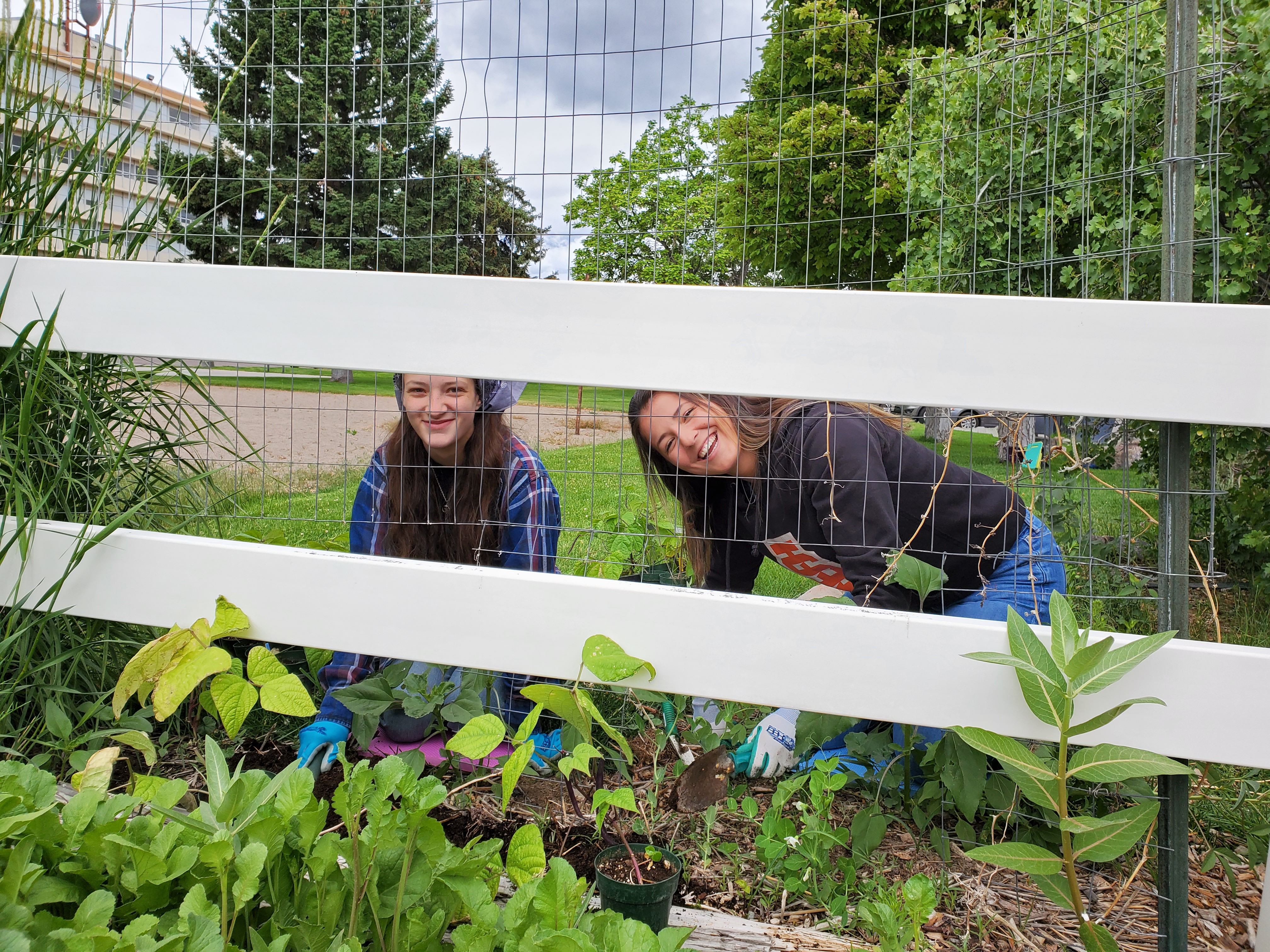 Staff of the IRH and an AmeriCorps member (Macy) Gardening