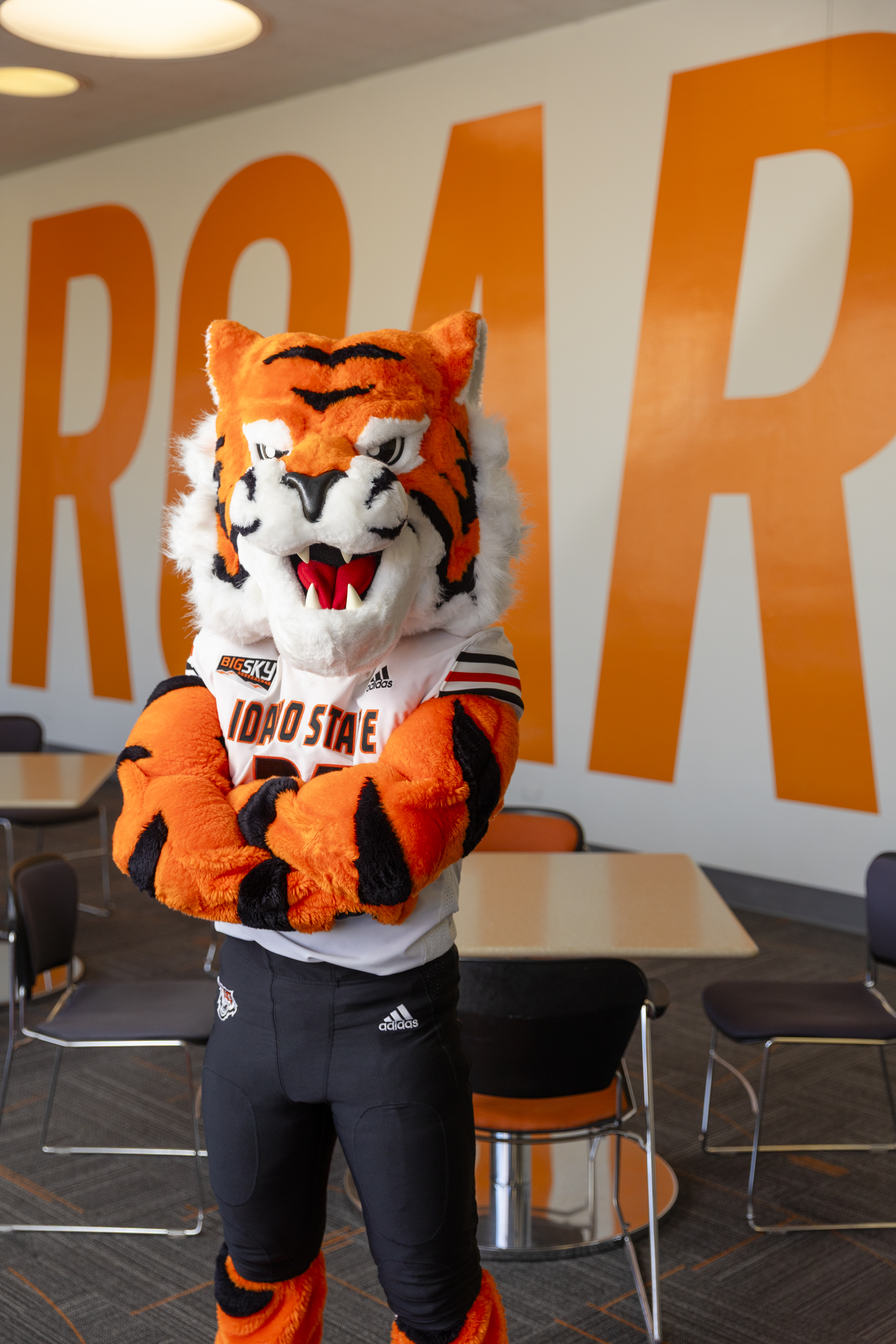 Benny Bengal with arms folded