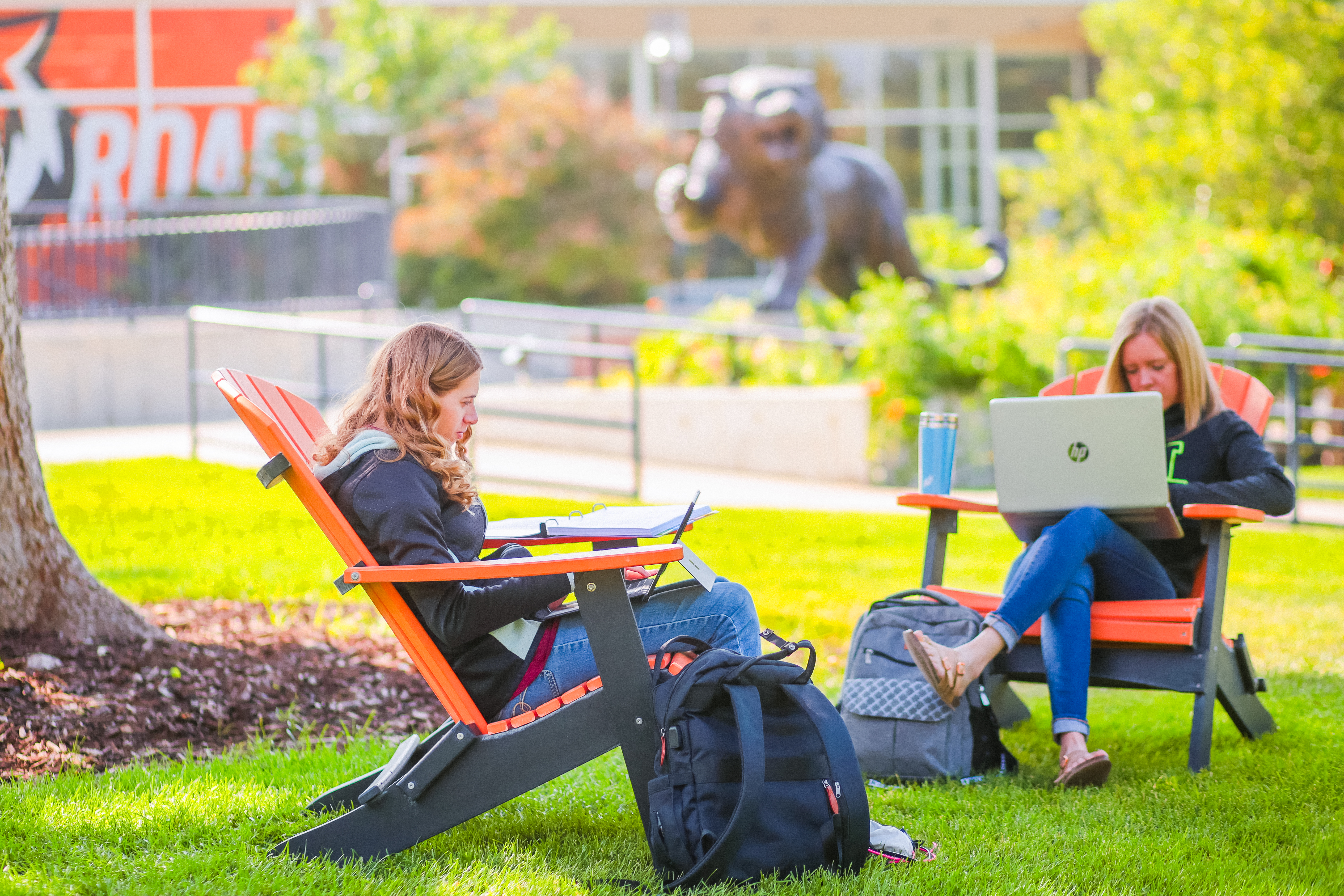 Two students sitting in chairs on the Quad in front of the Bengal Tiger statue.