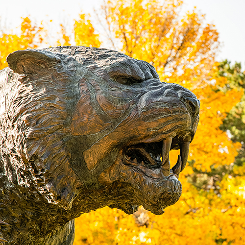 Profile Photo of the Bengal Statue in Autumn