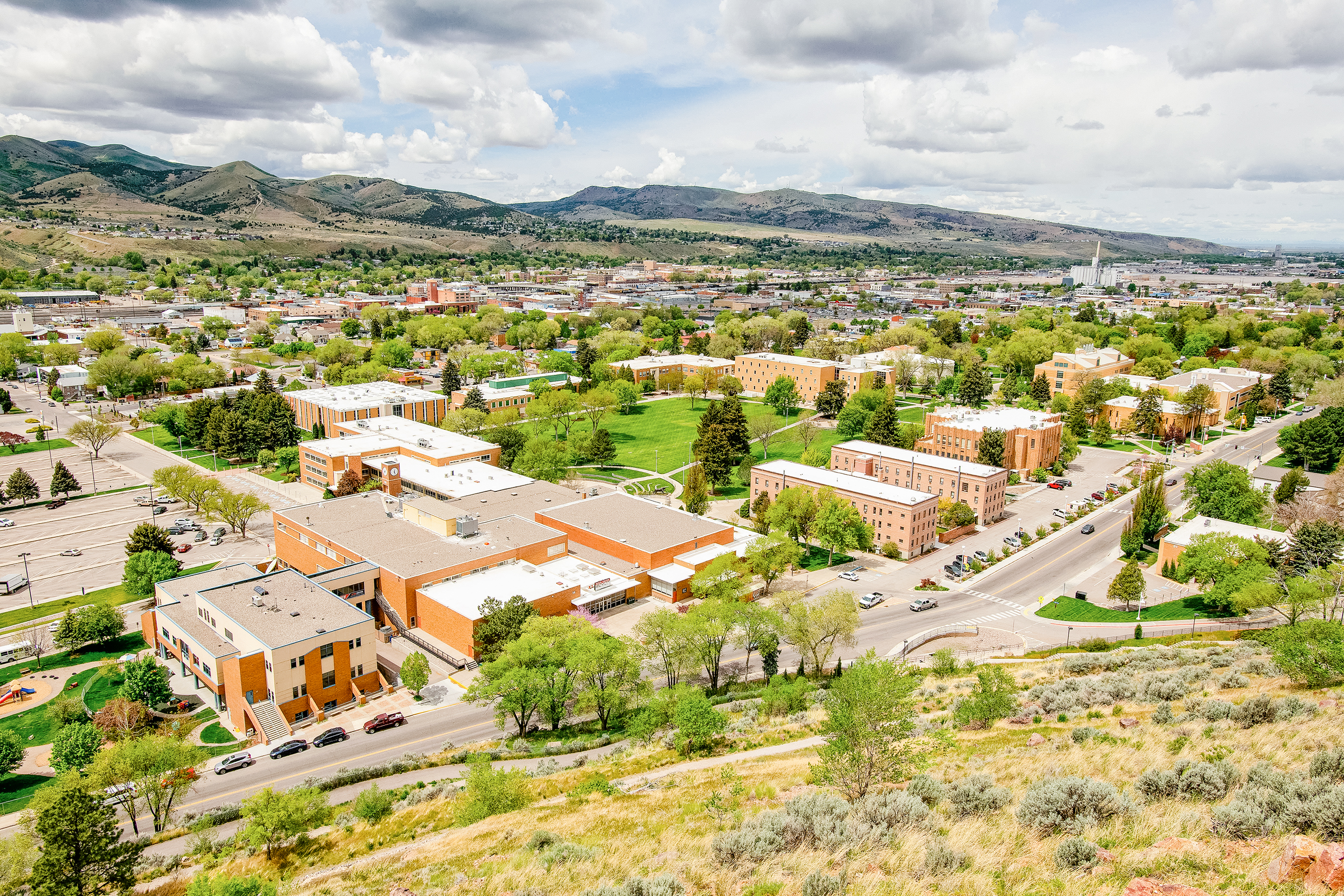 A view of the Quad and its surrounding buildings from Red Hill.