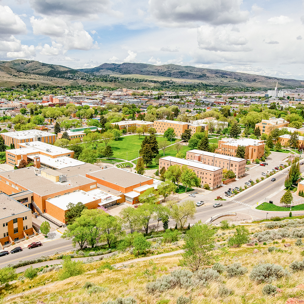 A view of the quad and surrounding buildings