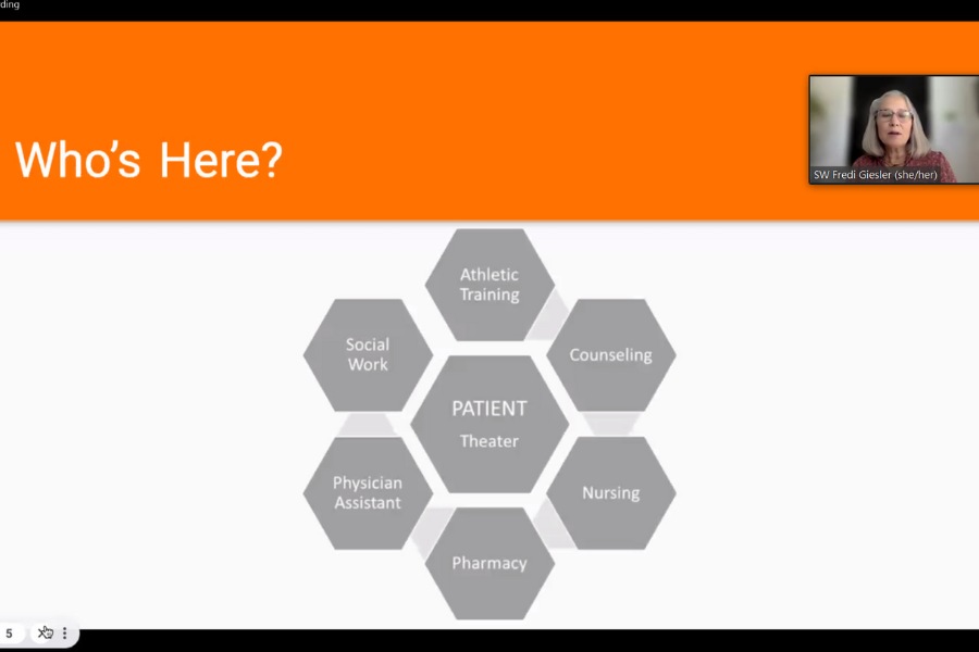 A visual representation of the groups present at the Zoom meeting. Each group is named in a grey hexagon: Theatre, athletic training, counseling, nursing, pharmacy, physician assistant, social work