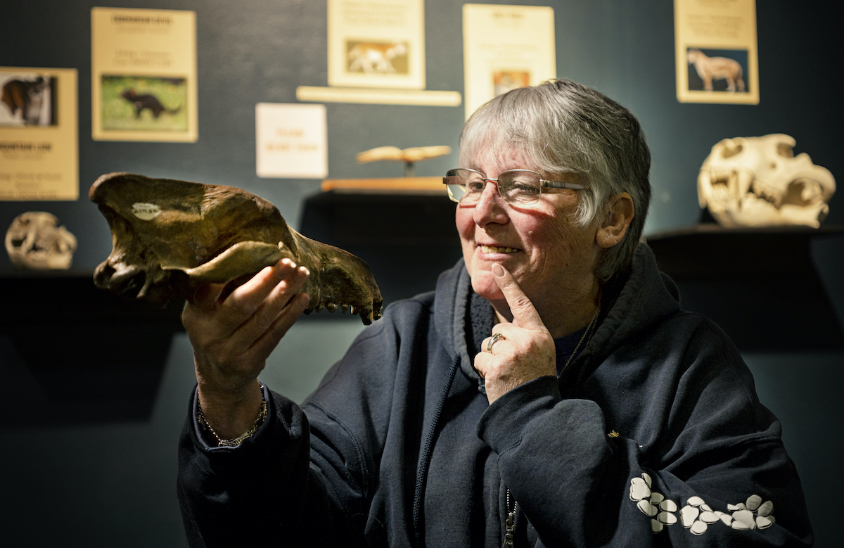 Dr. Mary Thompson holds a dire wolf skull