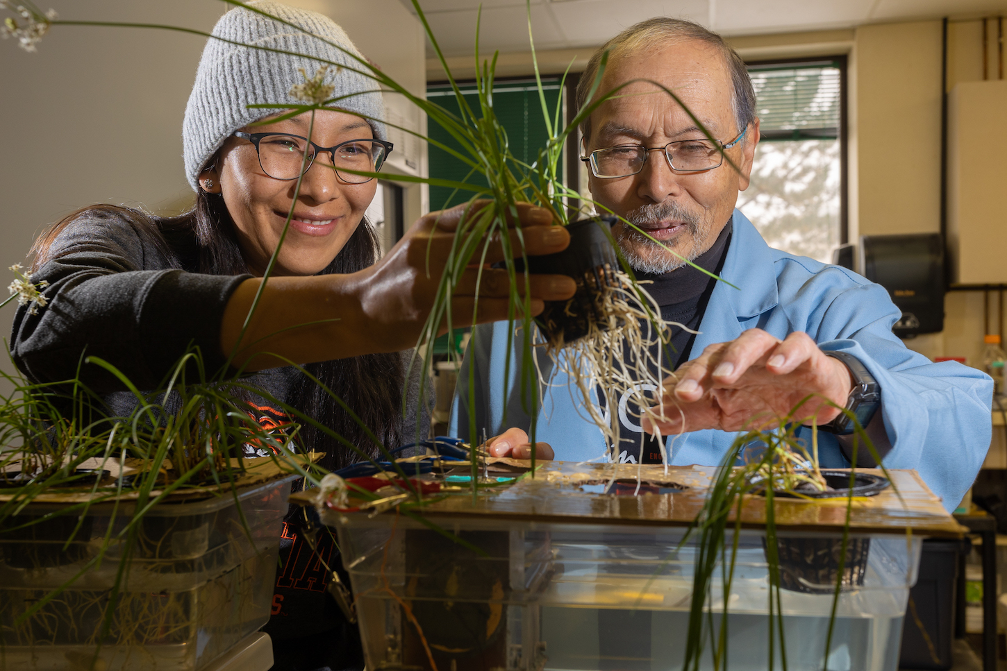 Two people work with a plant.