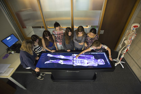 A group of students look at a 3-D skeleton