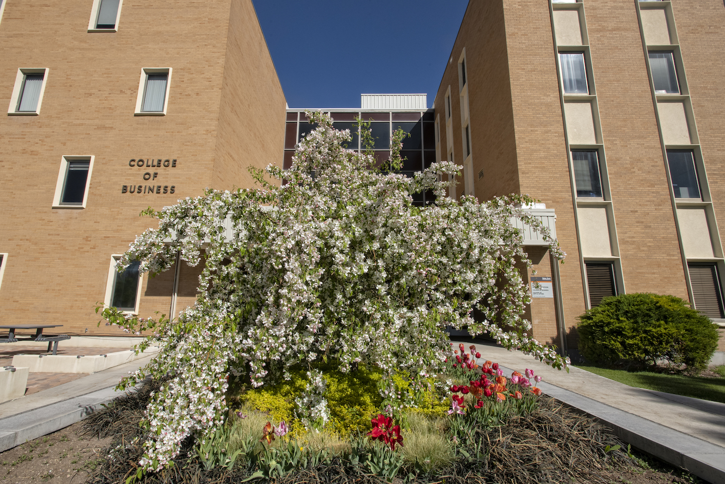 Idaho State University's Business Building