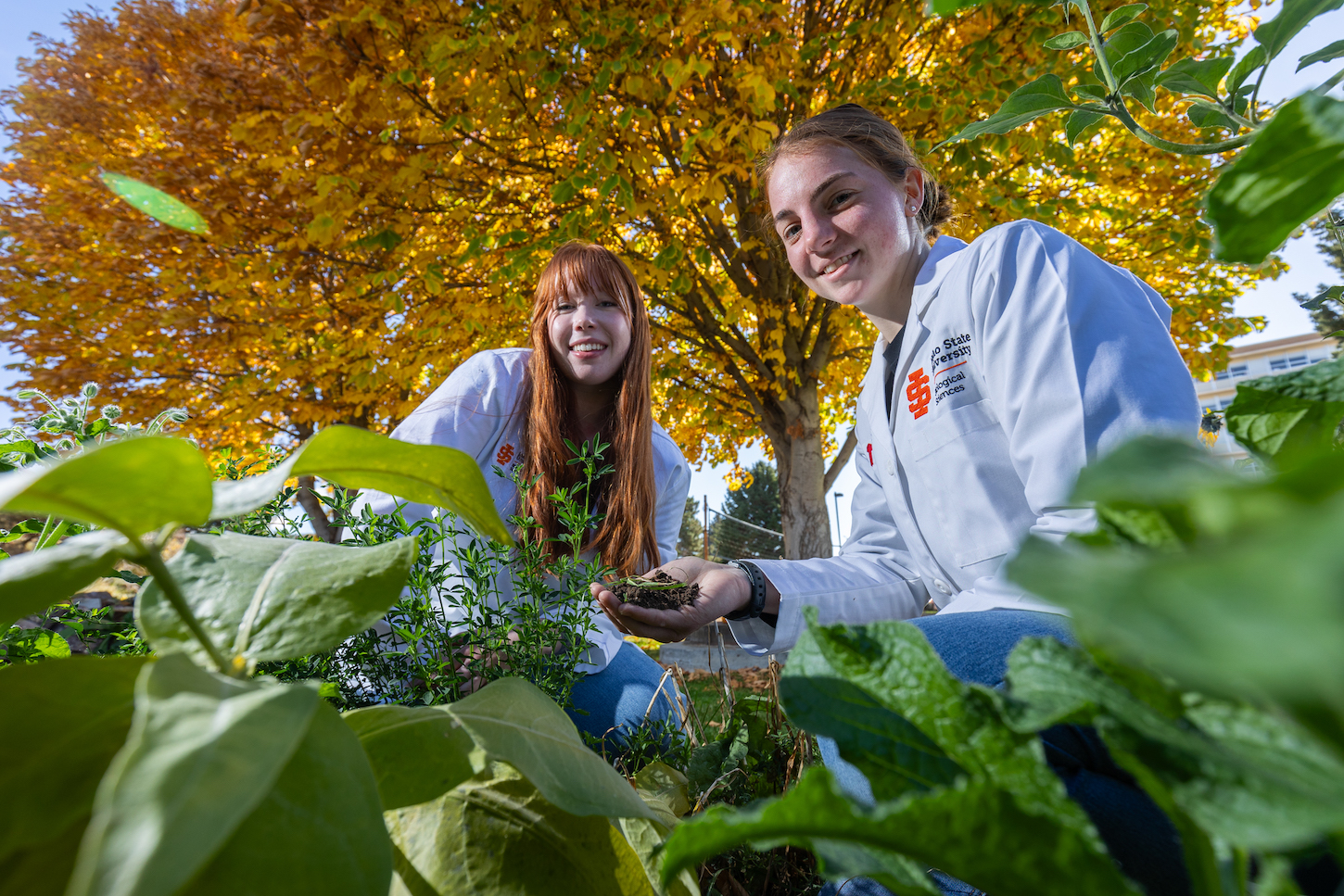 Two women among plants