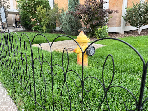 A fenced area of grass