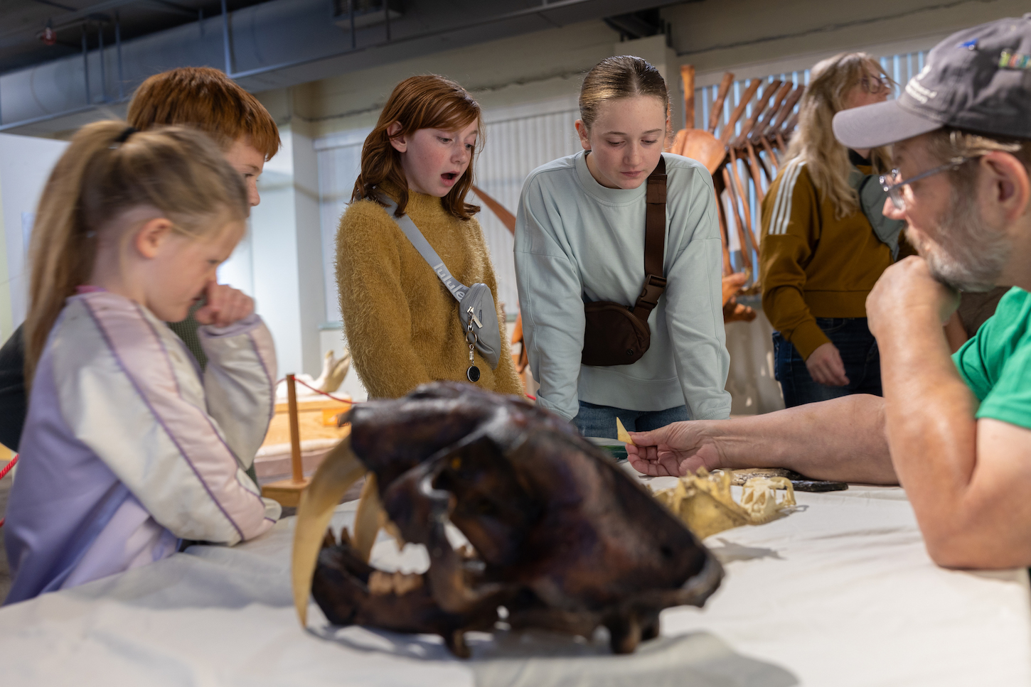 Fall Fossil Fest