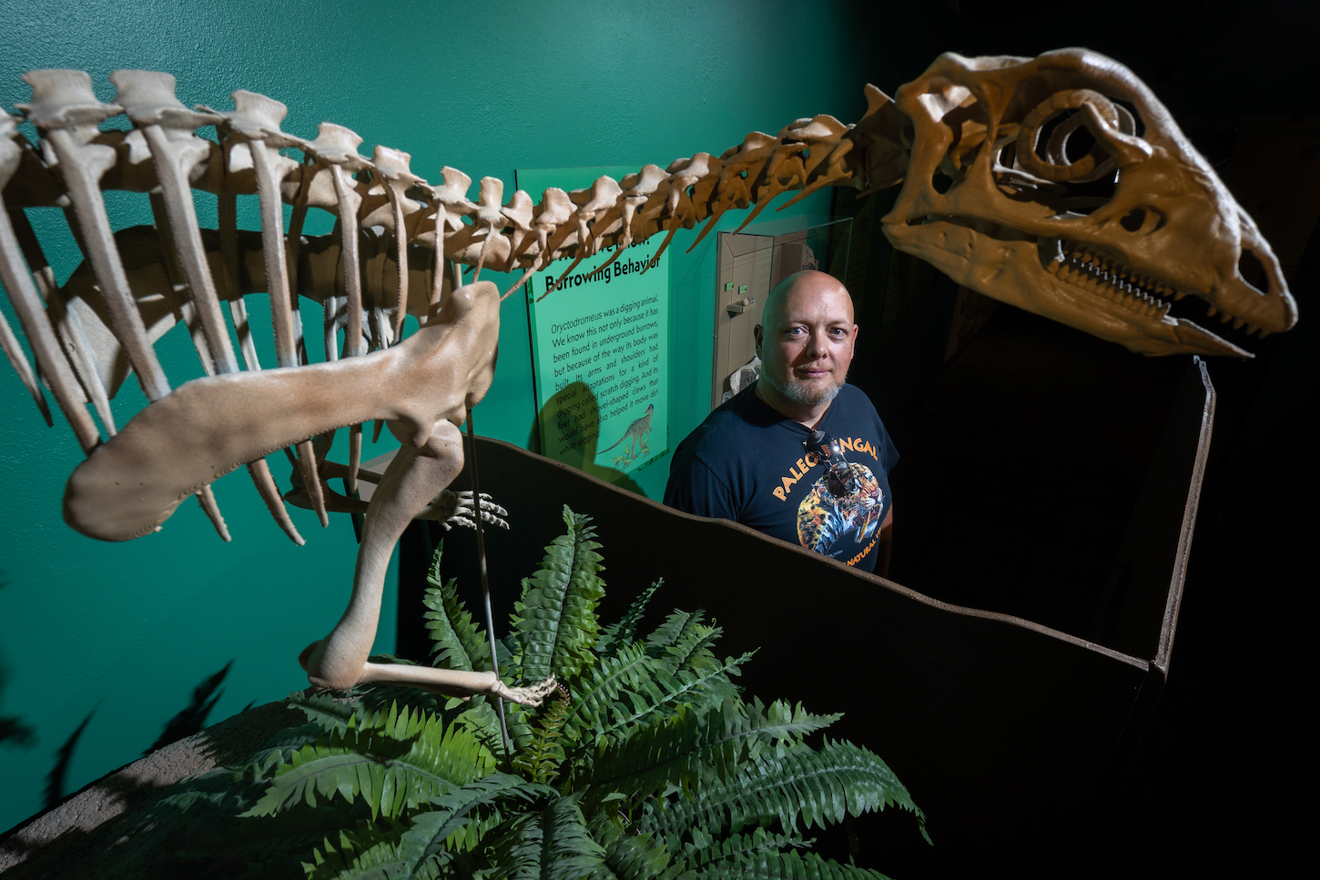 A man stands by a dinosaur skeleton