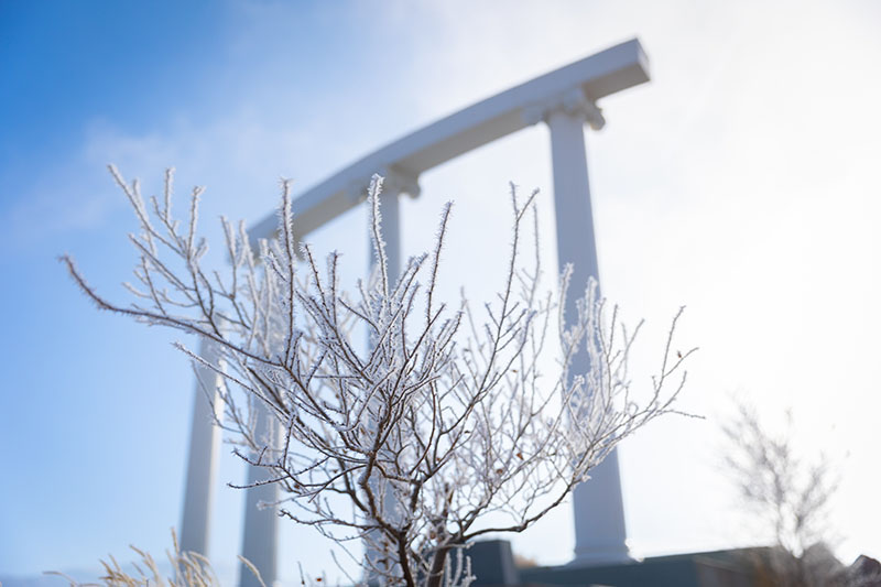 ISU pillars in the background, with a snow covered branch in the foreground