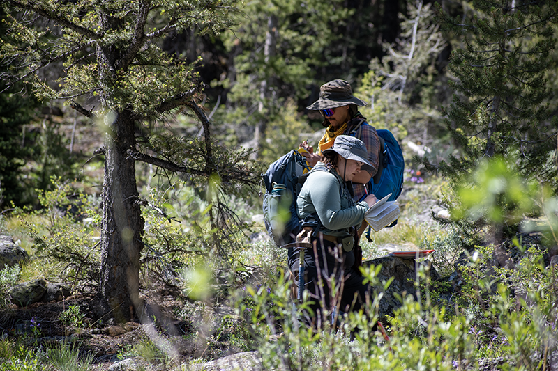 Geology field camp students study rock formations near Mackay, ID