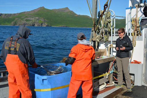 Photo cutline: Interim Dean and Professor of Anthropology Katherine Reedy aboard a fishing boat in Alaska