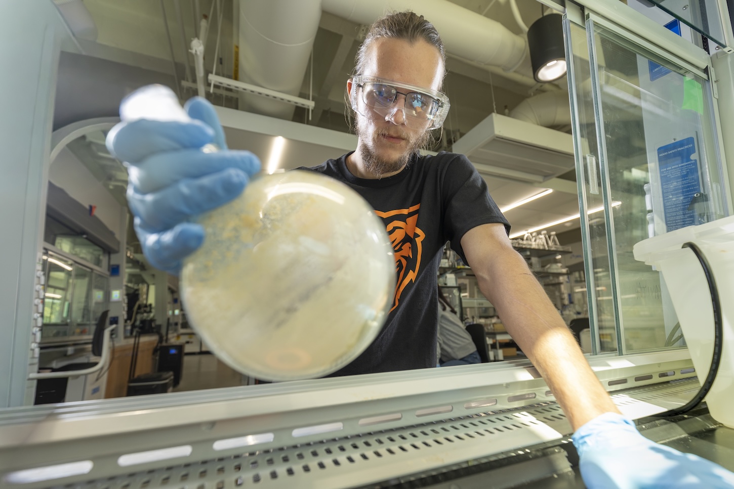 A student in a lab