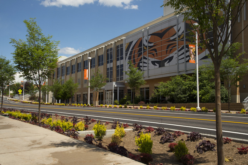 Photo showing newly planted flowers and trees along Martin Luther King Jr. Way