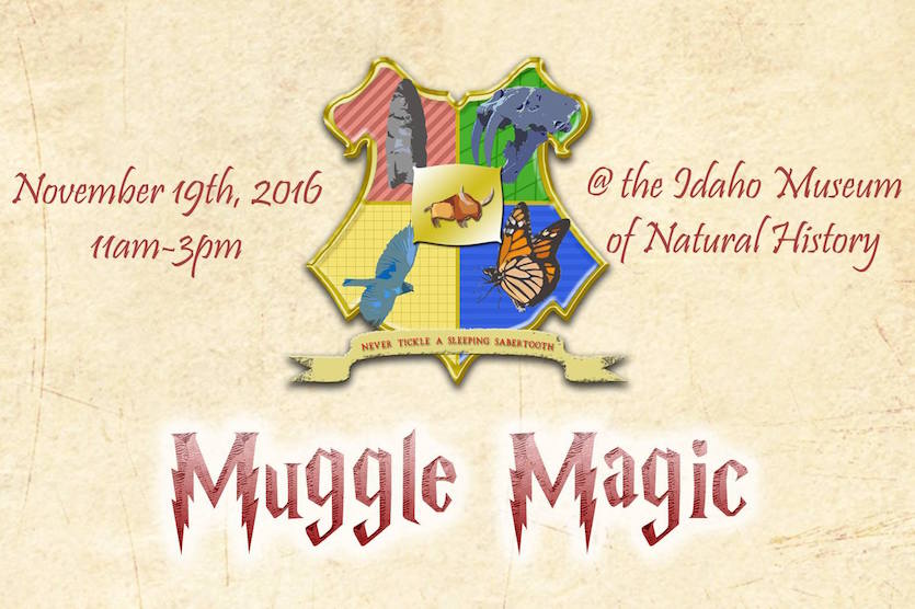 Muggle Magic poster.