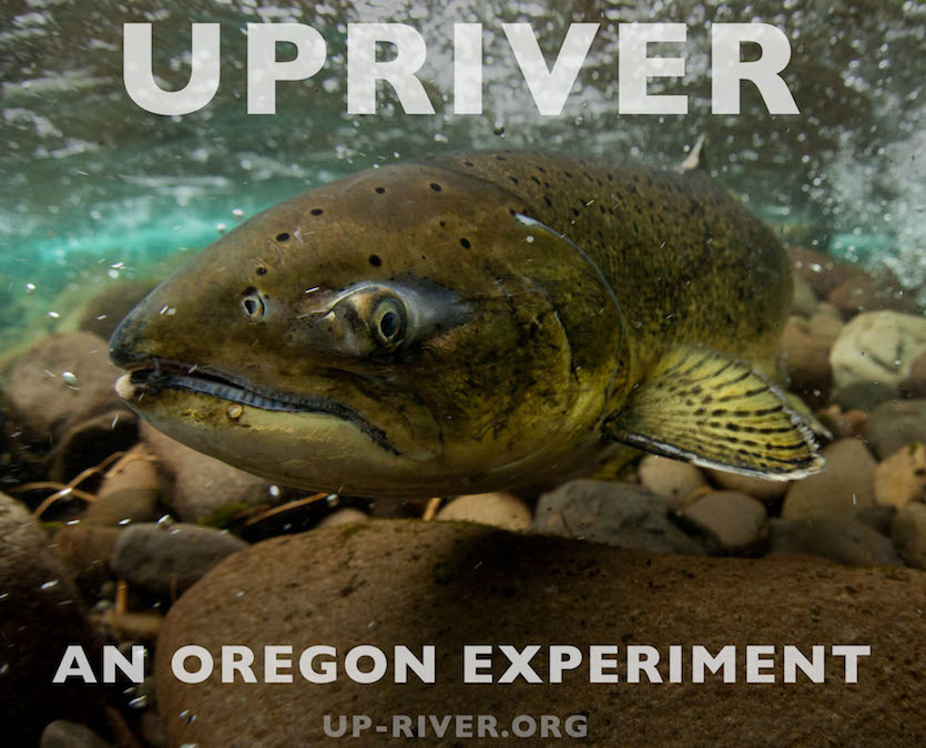 Upriver poster featuring a salmon under river.