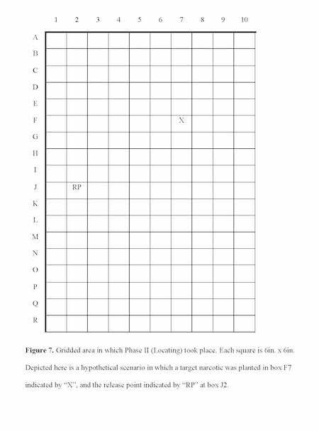 Drawing of cockroach grid used to test insects.