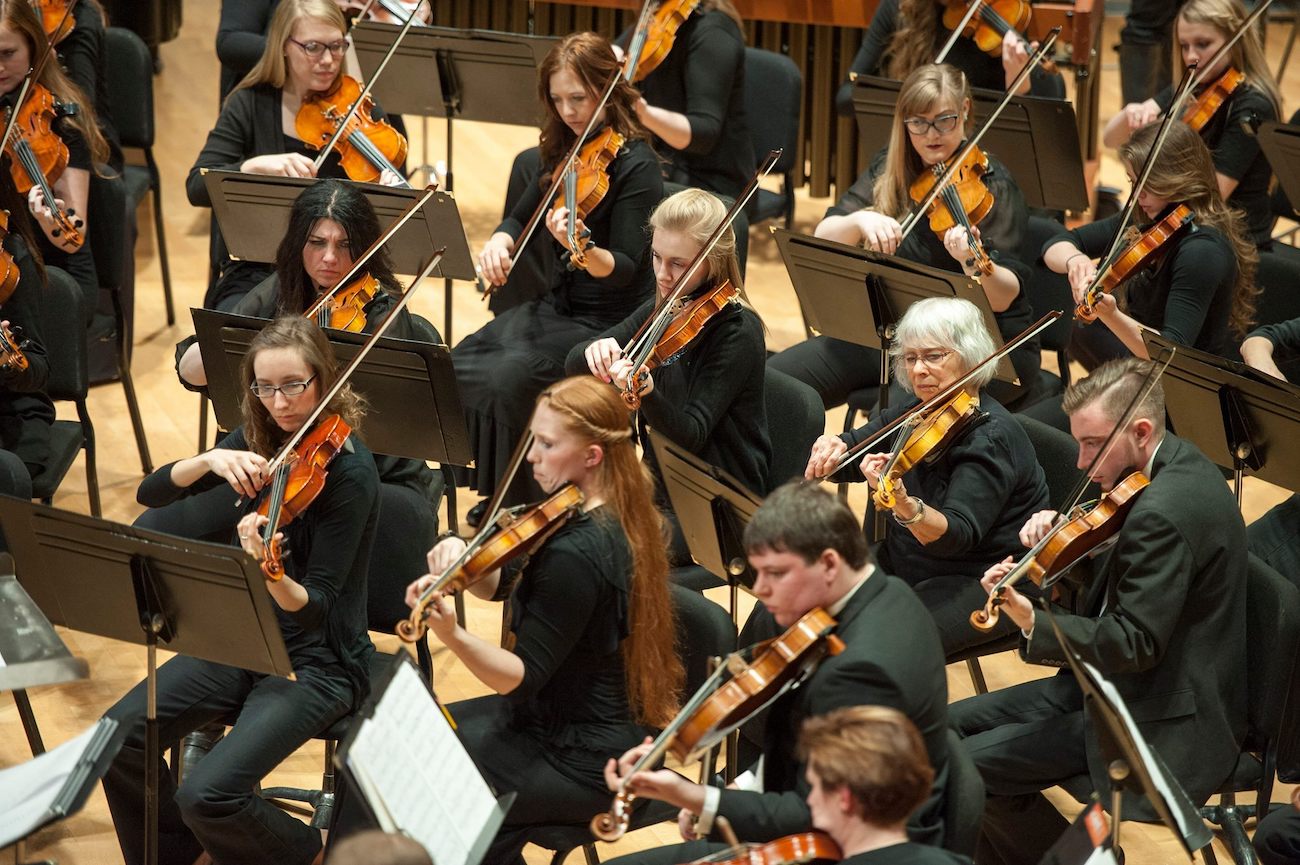 Photo of violinists in the orchestra