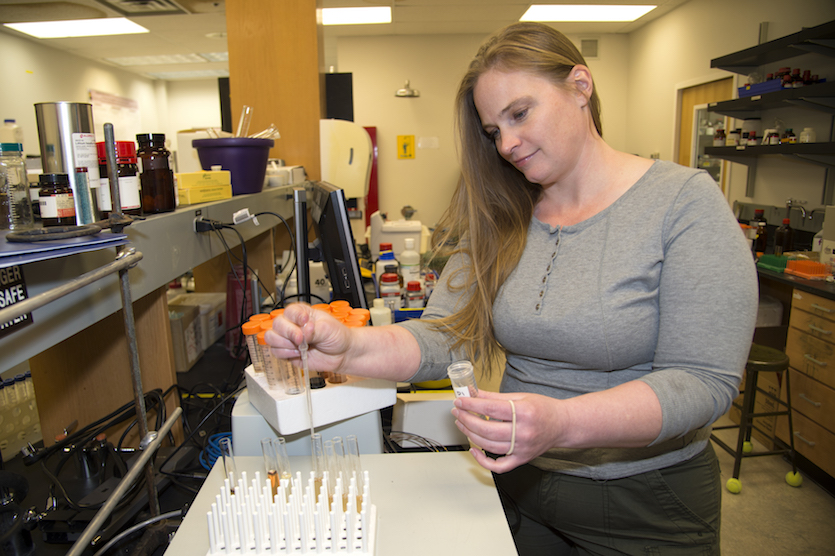 Camie Parsons in the lab looking at some chemicals.