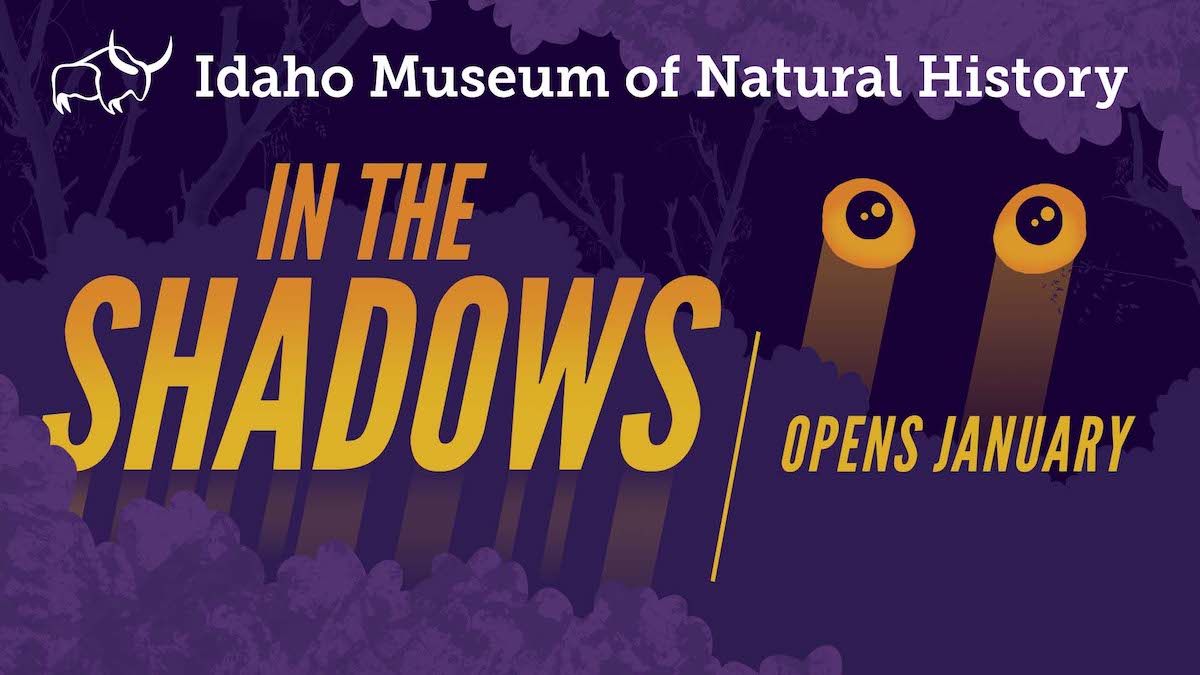 Exhibit poster