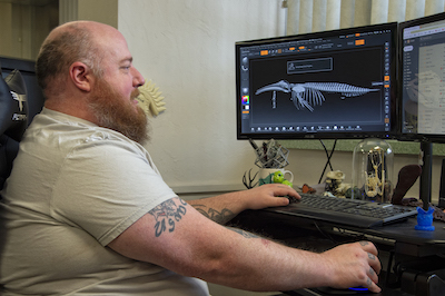 Jesse Pruitt looking at scan of humpback whale on his computer screen. 