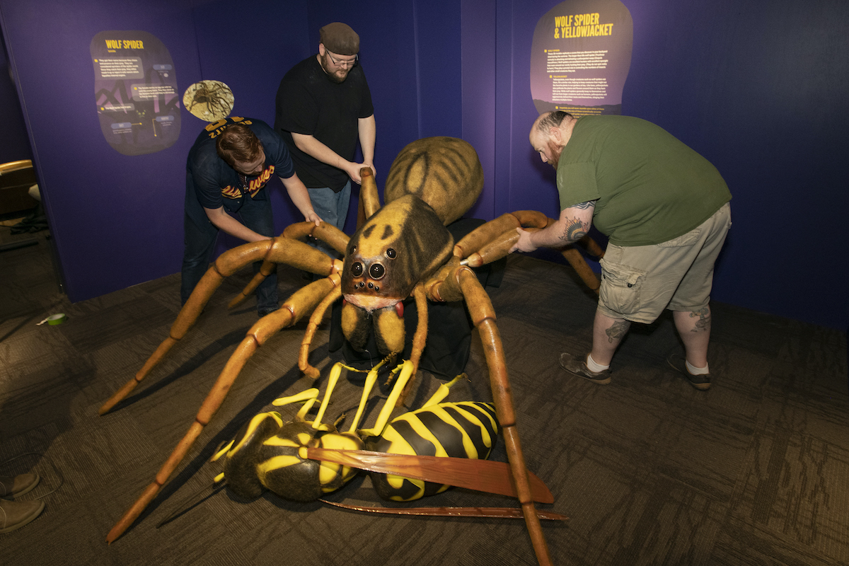 Museum personnel putting together giant 3D spider replica.