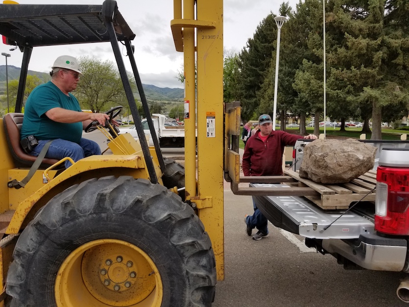 Forklift loading new shark fossil on truck