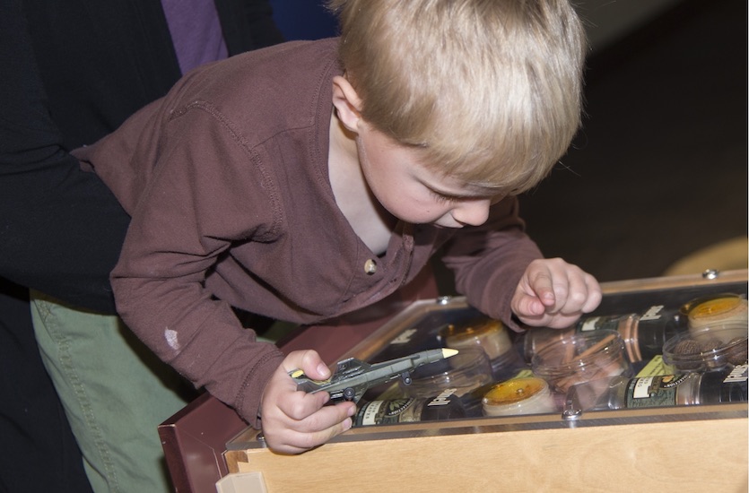 Child looking at museum exhibit