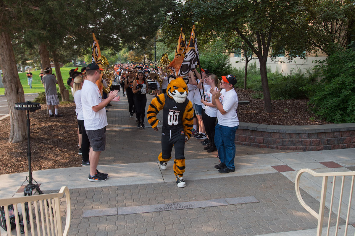 Benny the Bengal leads students back to campus
