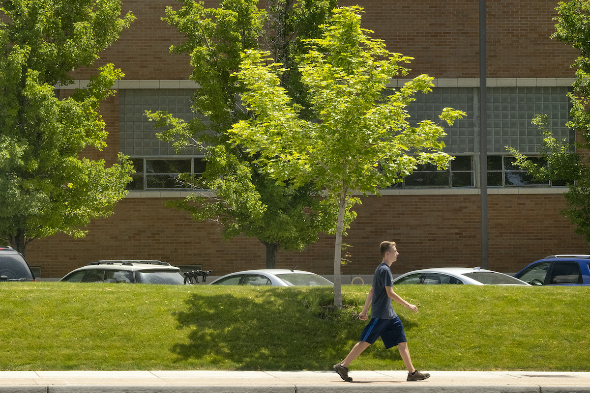 Student walking by trees in front of Reed Gym.
