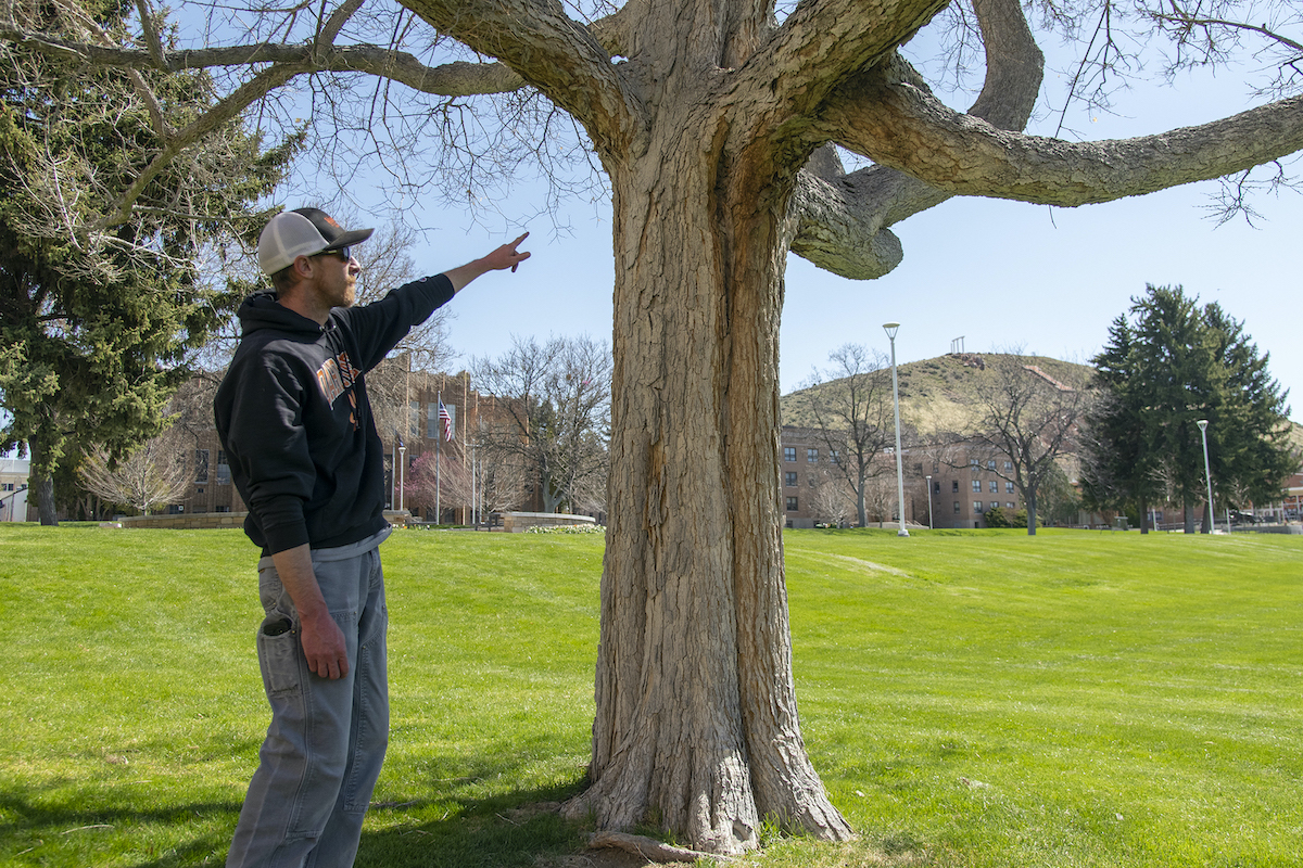 Chris Wagner points to where a tree was hit by lightning.