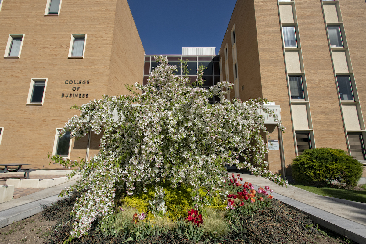 Photo of College of Business with a flowering plant in the foreground.