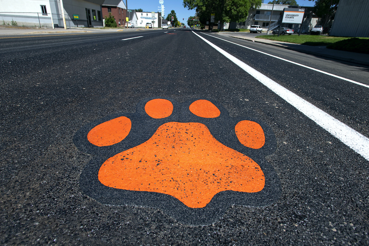 A new paw on a Pocatello street. 