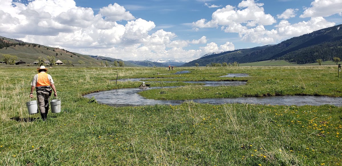 Researcher in foreground of shot of Rose Creek in Yellowstone NP. 