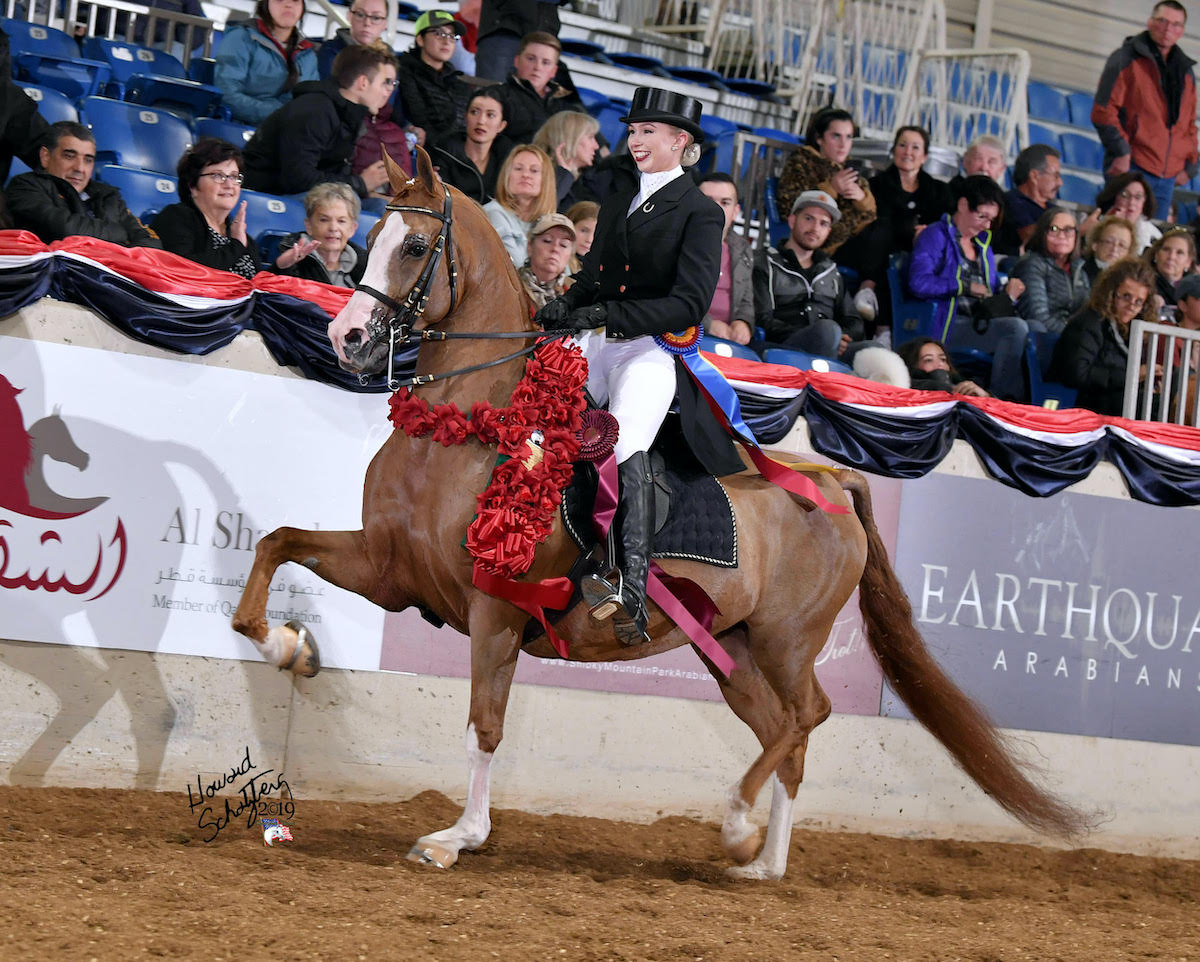 Sarah Childs riding horse at a competition