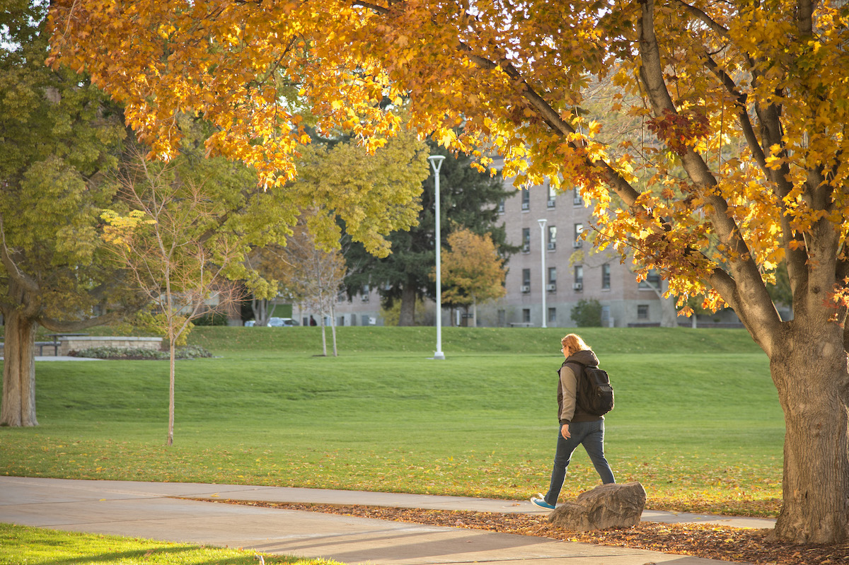 Student walking across quad by trees in bright fall foilage. 