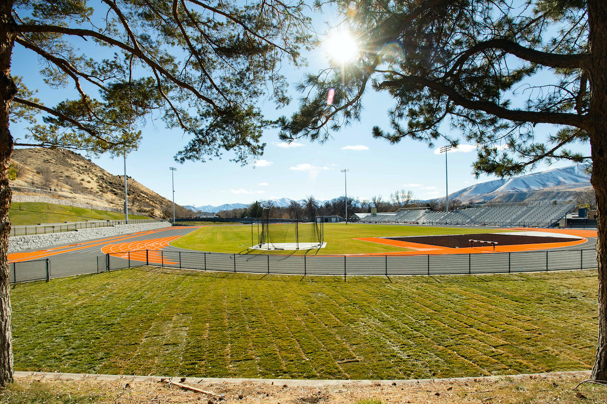 A shot of the new Davis Field framed by tree branches.