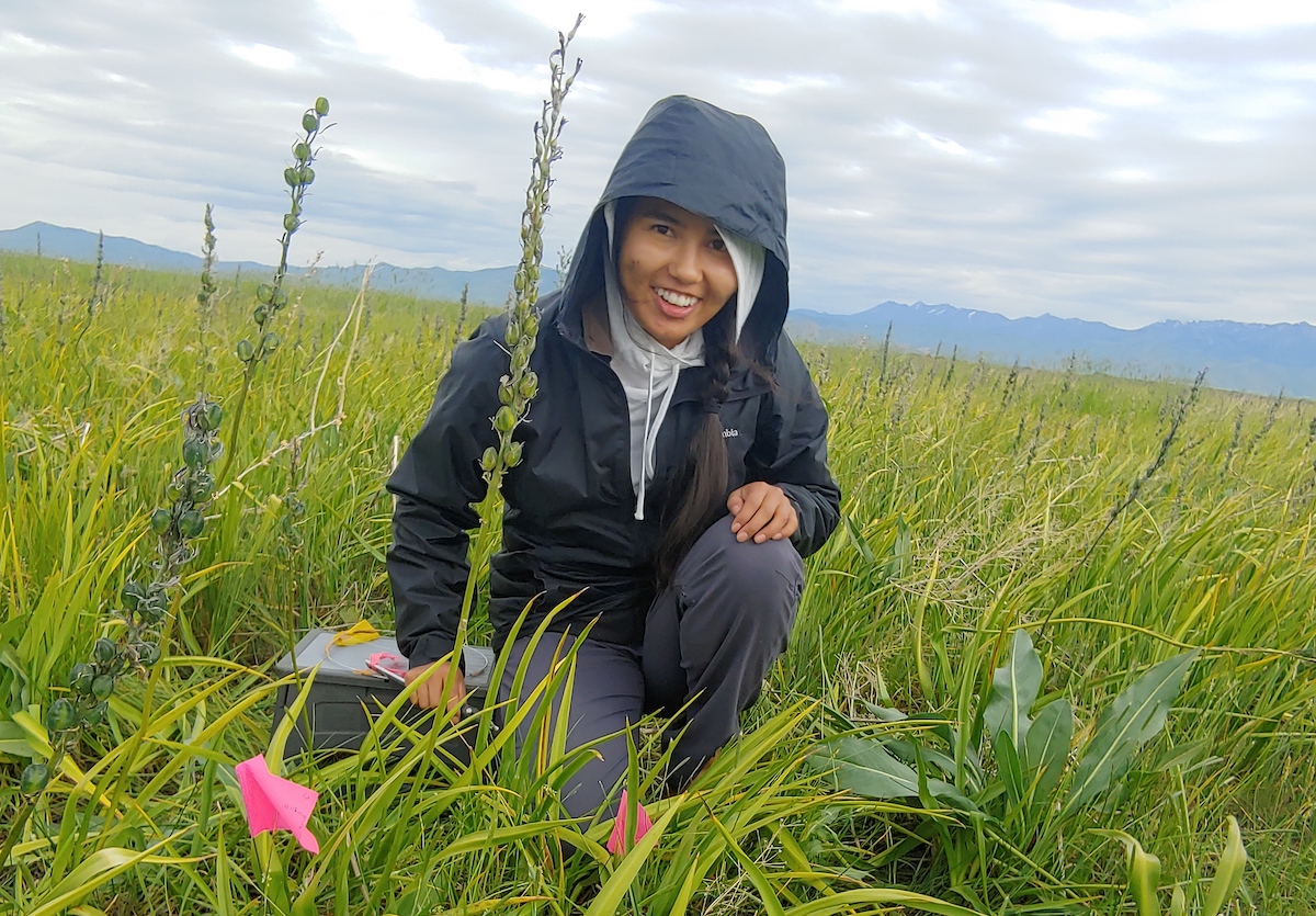 Sidney Fellows posing in a marsh near camas plants