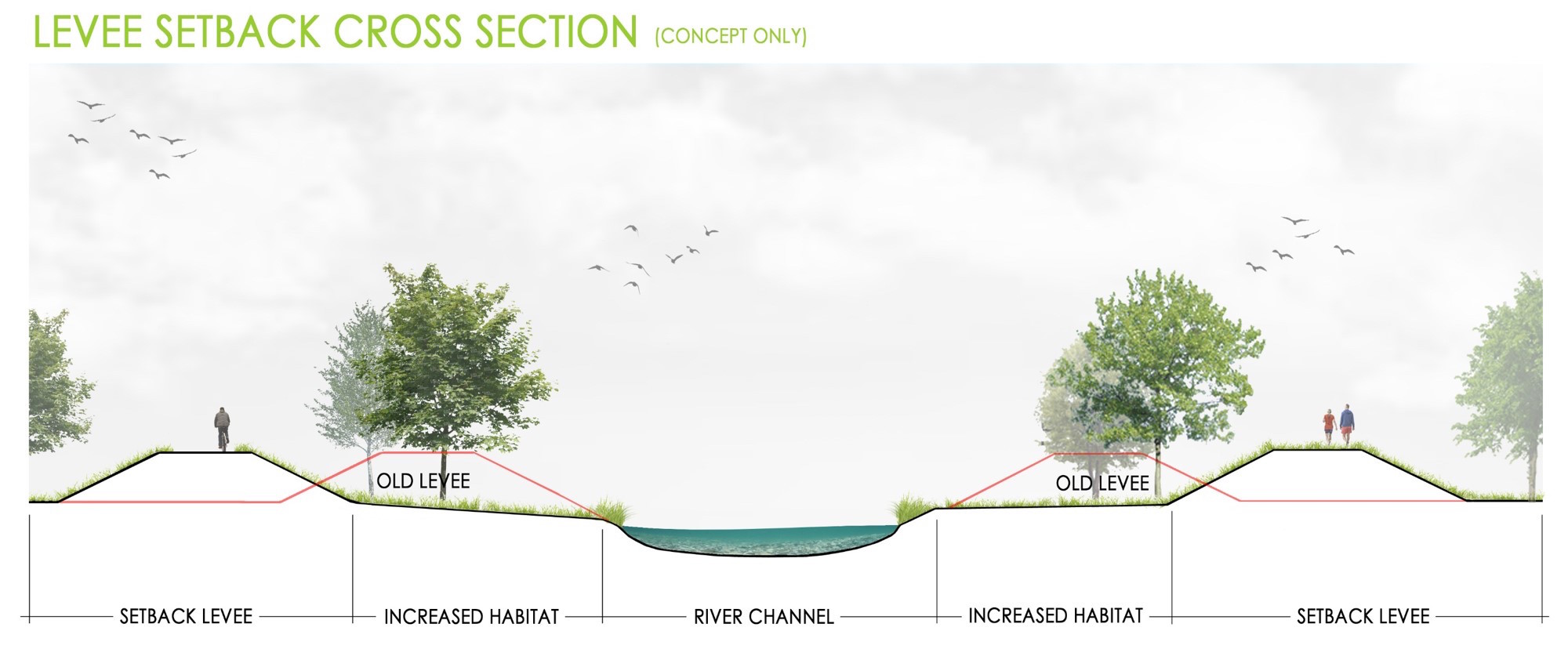 Image of new levee. 