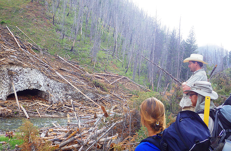 Colden Baxter explaining to students Mirijam Scharer and Adam Eckersell the connectivity of riparian ecosystems to alpine ecosystems as evidenced by a large influx of woody debris into Big Creek