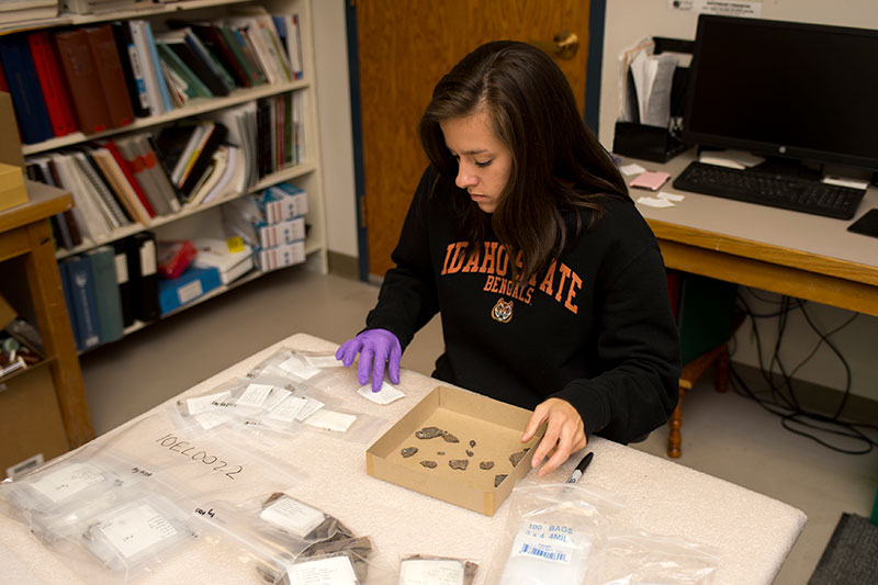 A C P I student sorts mineral samples