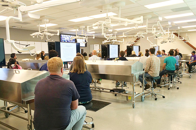 Health science students studying in the anatomy lab