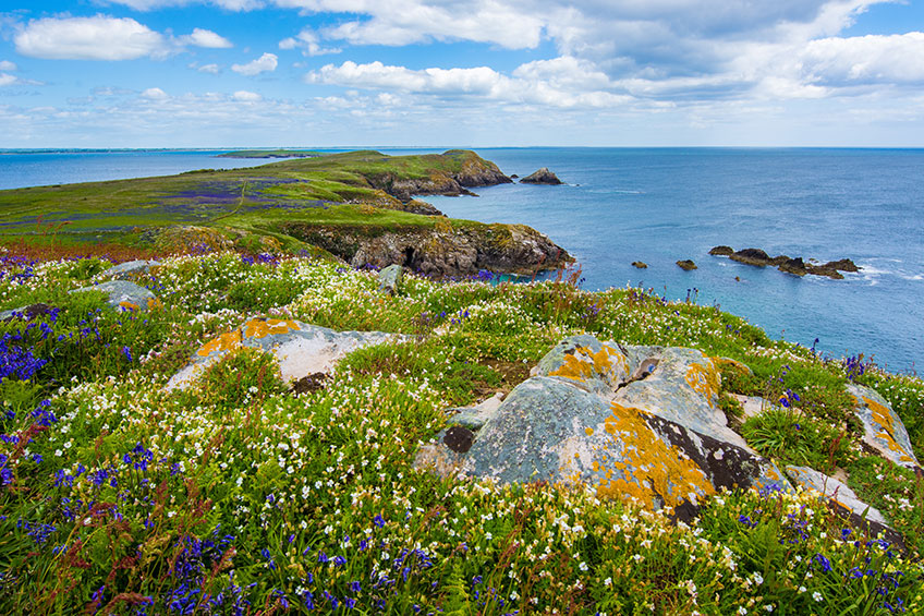 The Irish Coast